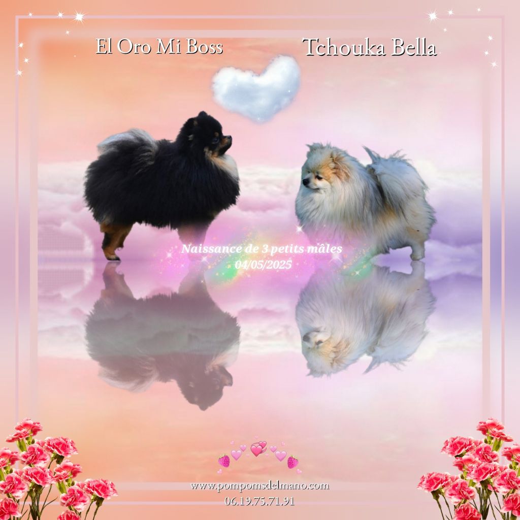 MANOLITA Romano - Naissance